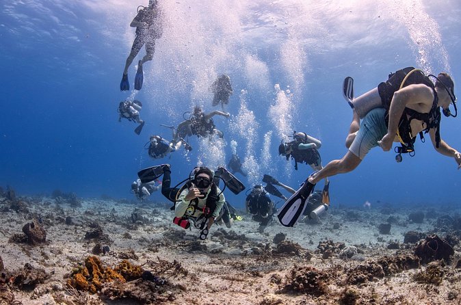 2 Tanks dives for Certified Divers in Cozumel - The second reef and the value of variety
