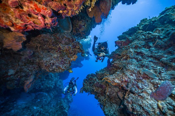 2 Tanks dives for Certified Divers in Cozumel - Who gets the best value from this outing