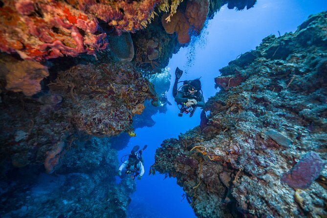 2 Tanks dives for Certified Divers in Cozumel - Practical value and the booking decision