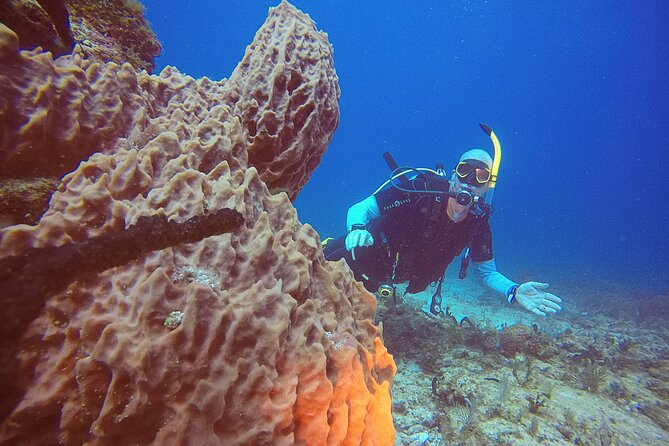 2 Tanks Scuba Diving in Punta Cancun Reefs for Certified Divers - What to pack, and what to leave behind