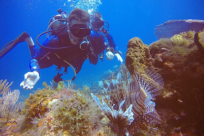 2 Tanks Scuba Diving in Punta Cancun Reefs for Certified Divers - Check-in at Hotel Sotavento at 1:30 p.m.
