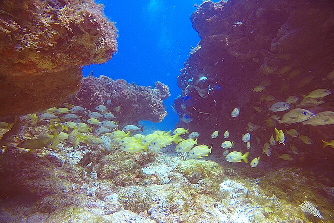 2 Tanks Scuba Diving Wreck and Reef in Cancun for Certified Divers - Safety, comfort, and the honest physical demands