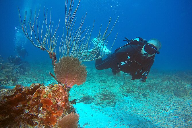 2 Tanks Scuba Diving Wreck and Reef in Cancun for Certified Divers - What the $159 price really covers