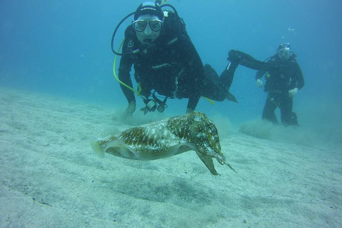 2x diving package, on request including refreshment - Two sessions that make good use of a Tenerife morning