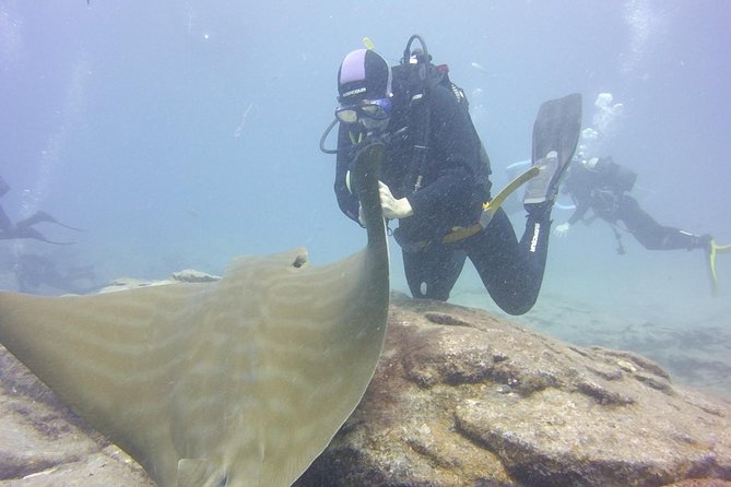 2x diving package, on request including refreshment - A useful 45-minute break between sessions