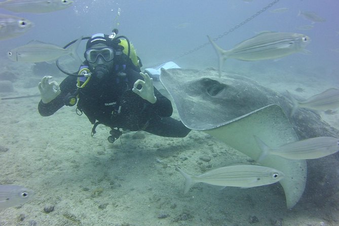 2x diving package, on request including refreshment - Why the small group matters