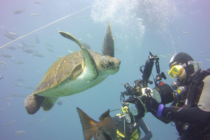 2x diving package, on request including refreshment - Shore sites, boat access, and changing conditions