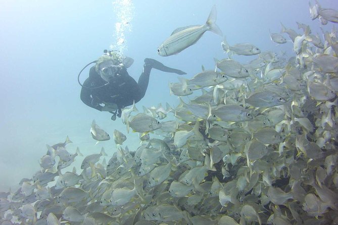 2x diving package, on request including refreshment - Equipment checks and the first briefing