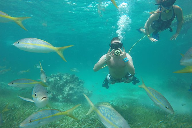 3 ADVENTURES: Sailing Catamaran Cruise - Hooka Diving - Snorkeling - What this Punta Cana boat trip is really like