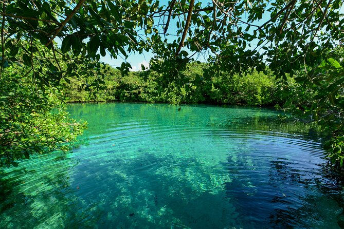 3 Cenote Dives - Casa & Dos Ojos - What the small group changes