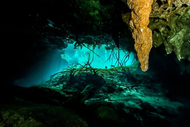 3 Cenote Dives - Casa & Dos Ojos - Safety, health, and flying rules