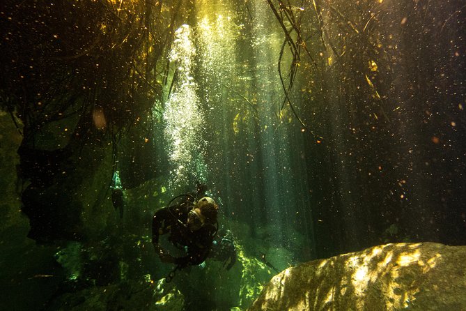 3 Cenote Dives - Casa & Dos Ojos - Is the outing good value?