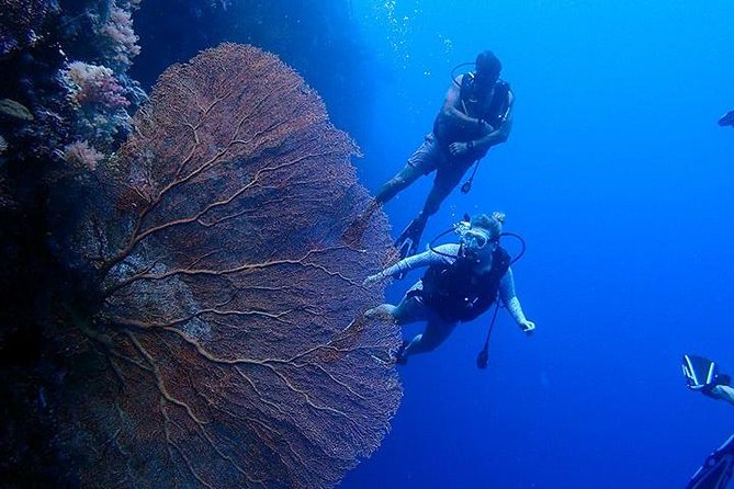 3 Day Dive Tour - Key points at a glance