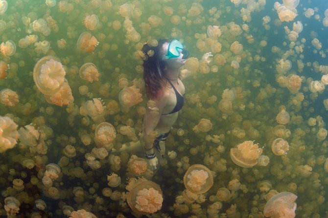 3 Day Dive Tour - Who will get the most from this package?