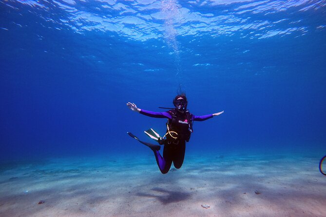3-Day Open Water Scuba Diving Course in Aqaba - What You Actually Learn in Three Days