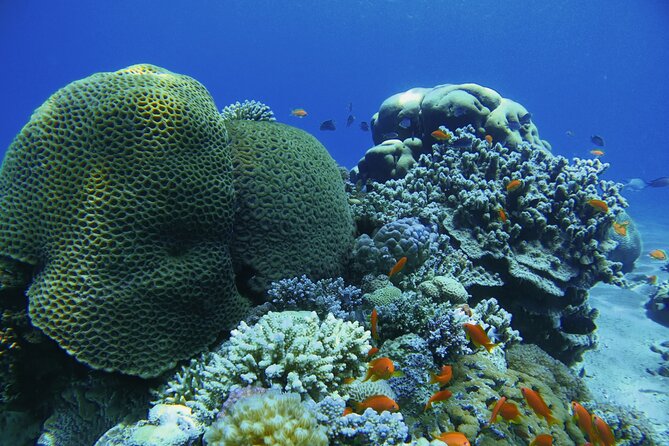 3-Day Open Water Scuba Diving Course in Aqaba - The First Morning at 8:30
