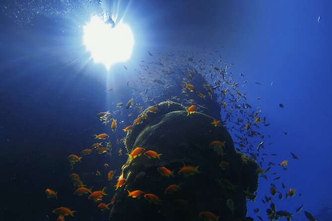 3-Day Open Water Scuba Diving Course in Aqaba - Why Safety and Equipment Matter Here