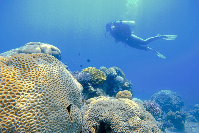 3-Day Open Water Scuba Diving Course in Aqaba - The $500 Price: What Value Are You Getting?