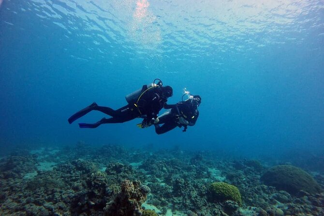 3-Day Open Water Scuba Diving Course in Aqaba - Should You Book the Aqaba Open-Water Course?