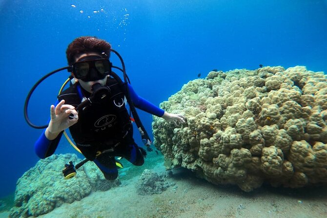 3-Day Open Water Scuba Diving Course in Aqaba - Five Confined-Water Sessions Build Confidence