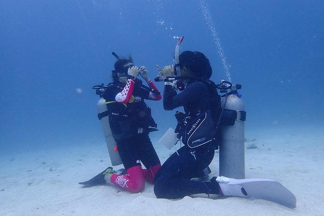 3-Day PADI Open Water Diver Course, Koh Samui - The pool day at Discovery Dive Centre