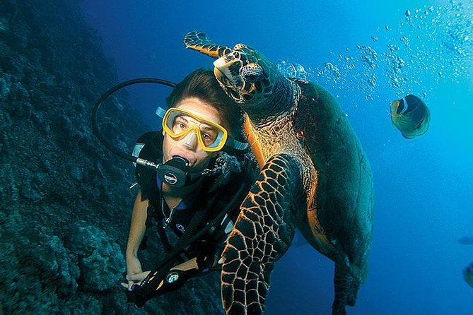 3-Day PADI Open Water Diving Course in Dubai - What the $354 Dubai course actually includes