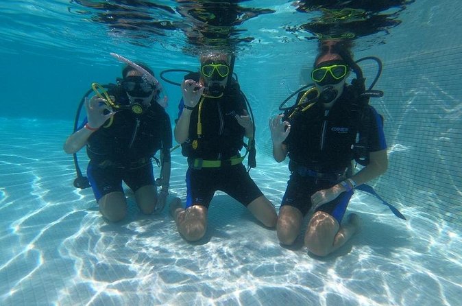 3 Days Open Water Diving Course in Punta Cana - Is $490 a fair price?
