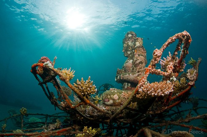 3 Days PADI Open Water Course in Pemuteran - Days Two and Three: Four Ocean Training Sessions