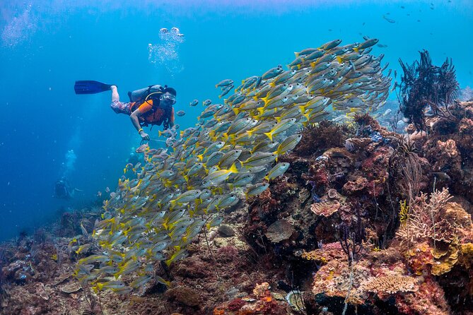 (3 Days) PADI Open Water Diver Course Kota Kinabalu - Day one: classroom work from 10:00 am to 3:45 pm