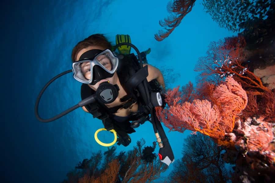 3 Fun Dives for Certified Diver Phi Phi islands &Shark Point - What the 10-hour schedule feels like