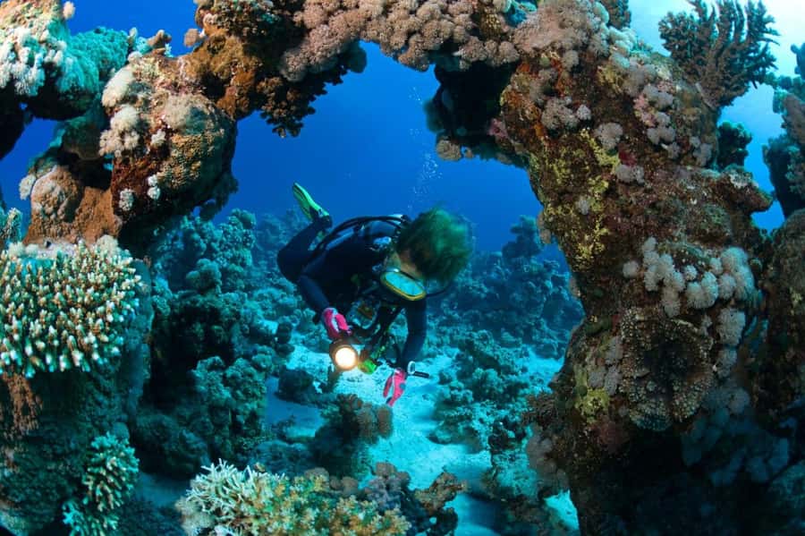 3 Fun Dives for Certified Diver Phi Phi islands &Shark Point - What to pack and what to plan around