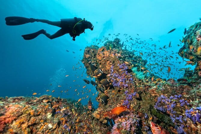 3 Fun dives in Phi Phi islands for Certified Divers - What this Phuket boat day is really offering