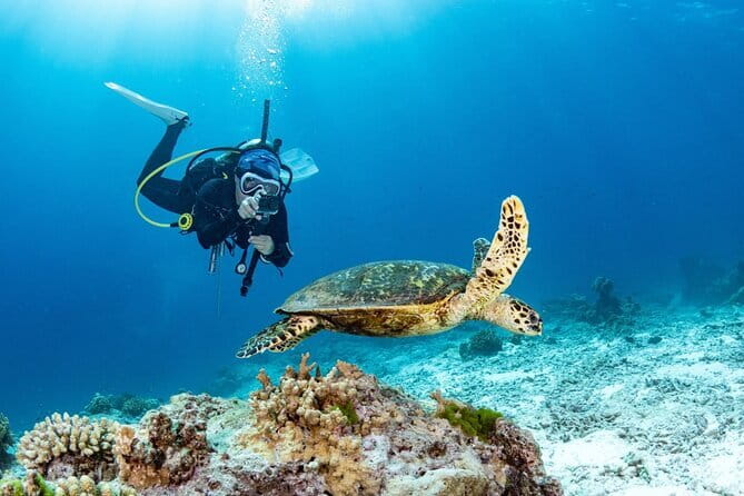 3 Fun dives in Phi Phi islands for Certified Divers - Two sessions around the Phi Phi Islands