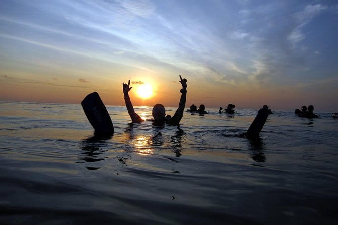 3 Fun dives in Phi Phi islands for Certified Divers - Meals, drinks, and what to bring