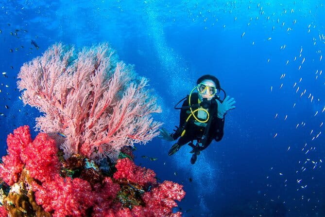 3 Fun dives in Phi Phi islands for Certified Divers - Health rules you should take seriously