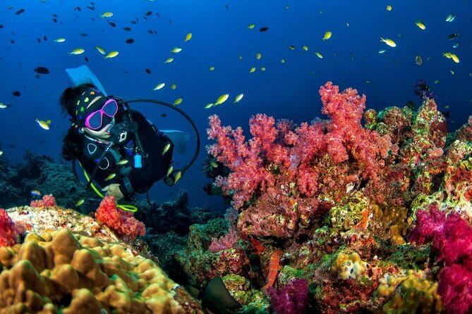 3 Fun Dives in Racha Yai and Racha Noi for Certified Divers - Key points to know before booking