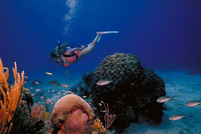 3 Fun Dives in Racha Yai and Racha Noi for Certified Divers - Why Racha Yai and Racha Noi make a good day trip