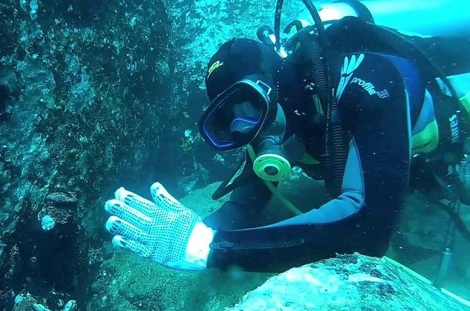 3 Hour Guided Scuba Diving in Trincomalee - The value of a $90 price