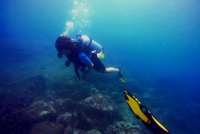 3 Hour Guided Scuba Diving in Trincomalee - Sam, Gudi, and the human side of the experience