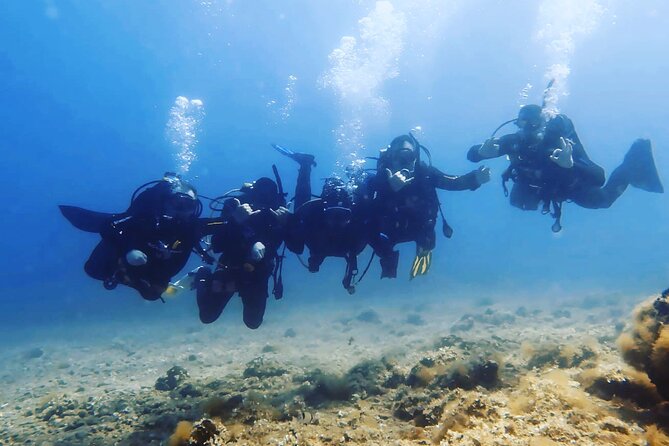 3 Hour Private Scuba Diving Experience - Starting at Deep Blue Diving Club in Kalivia Thorikou