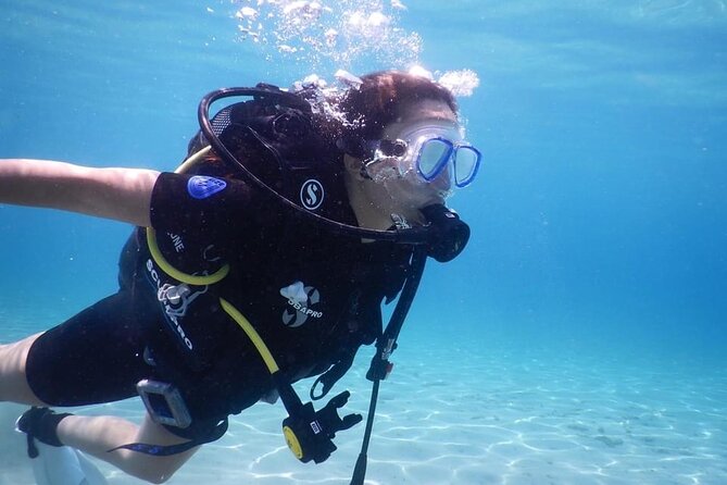 3 Hour Private Scuba Diving Experience - Meeting fish, turtles, and seabed plants