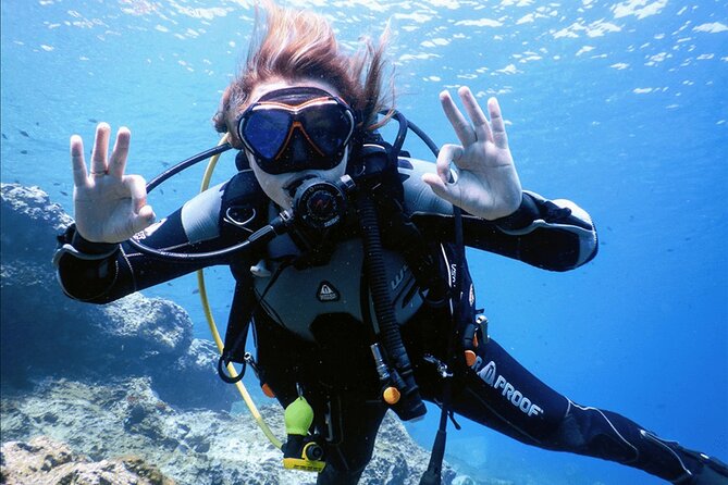 3 Hour Private Scuba Diving Experience - Online training before the equipment session