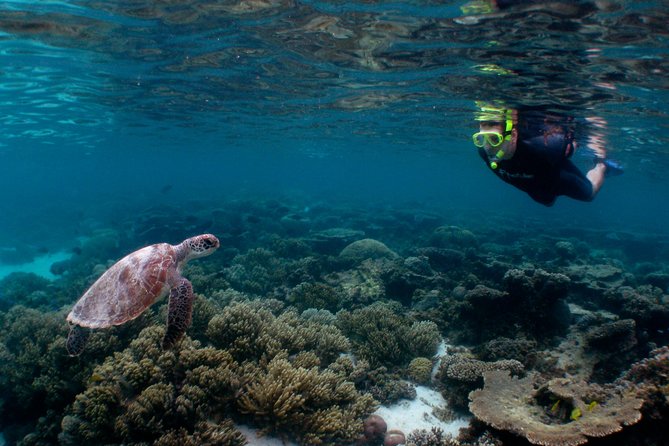 3 Night Ningaloo Reef Snorkel and Dive Getaway from Coral Bay - What makes this Ningaloo trip different