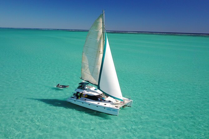 3 Night Ningaloo Reef Snorkel and Dive Getaway from Coral Bay - Day 3: Let the crew choose the best sites