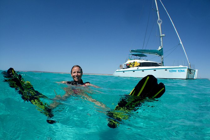3 Night Ningaloo Reef Snorkel and Dive Getaway from Coral Bay - Day 4: Manta rays and the return to Coral Bay