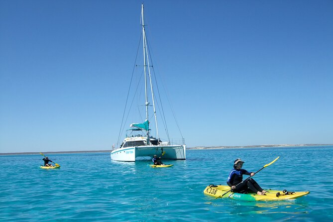 3 Night Ningaloo Reef Snorkel and Dive Getaway from Coral Bay - Wildlife: manta rays are only part of the picture