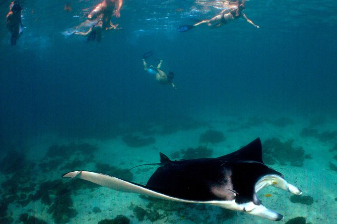 3 Night Ningaloo Reef Snorkel and Dive Getaway from Coral Bay - Who will get the most from this trip?