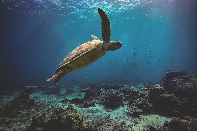 3 Semporna Islands Tour with Snorkel or Diving Experience - Pandanan Bay: the quiet final water stop