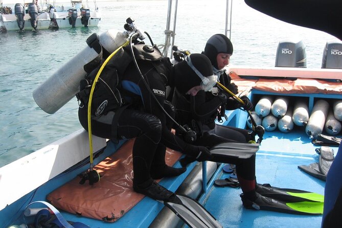 3 Semporna Islands Tour with Snorkel or Diving Experience - The crew, instruction, and pace