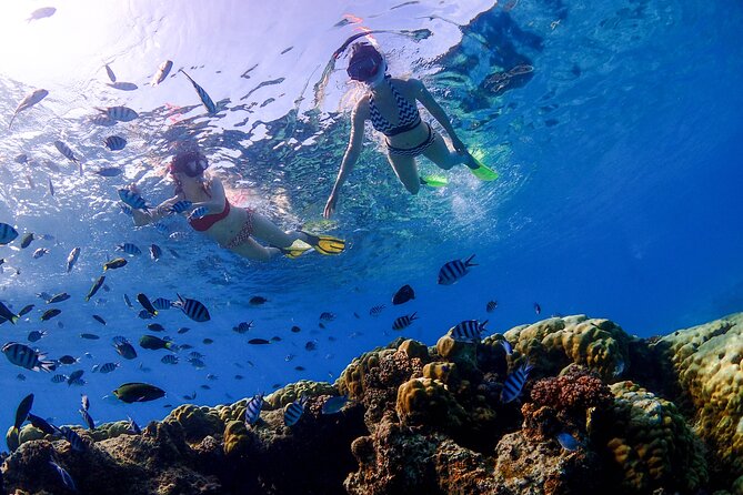 3 Semporna Islands Tour with Snorkel or Diving Experience - Timba-Timba: white sand, shallow water, and changing access